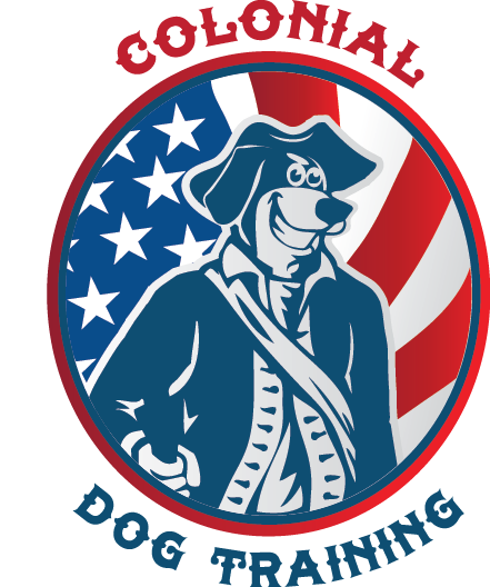 Colonial Dog Training